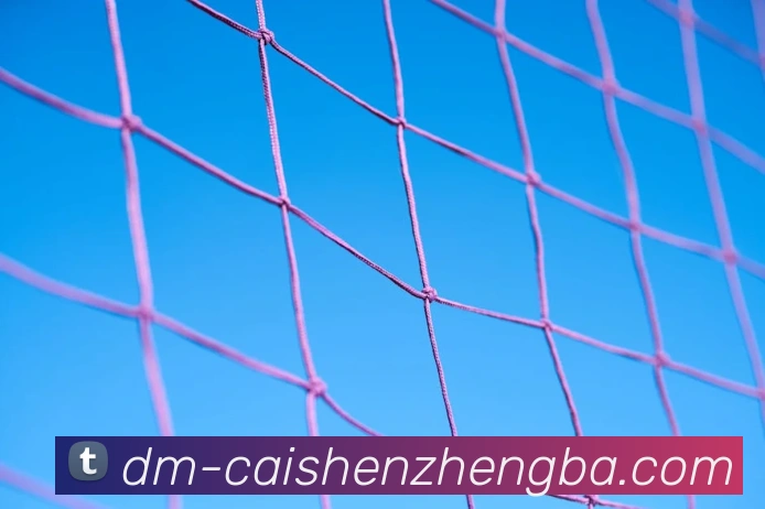 彩神争霸全站App 彩神争霸全站App